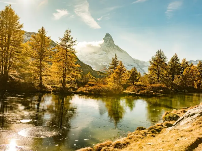 Larch season